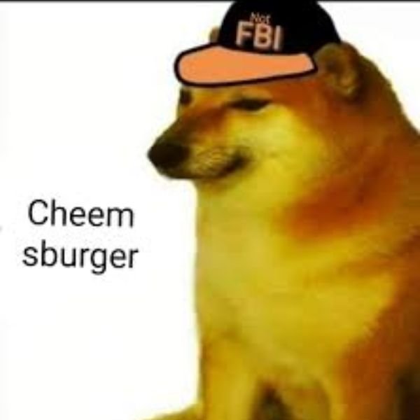 meme fbi đội mũ