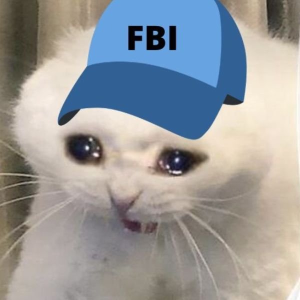 meme fbi mèo khóc