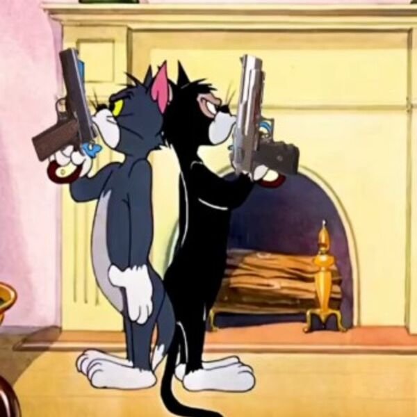 meme fbi mèo tom