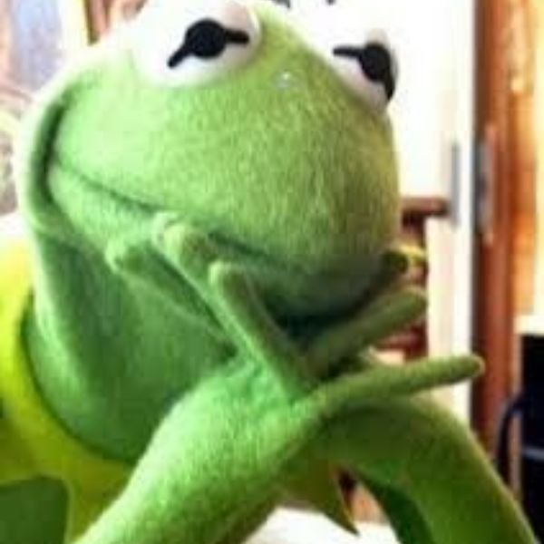 meme frog chống nạnh