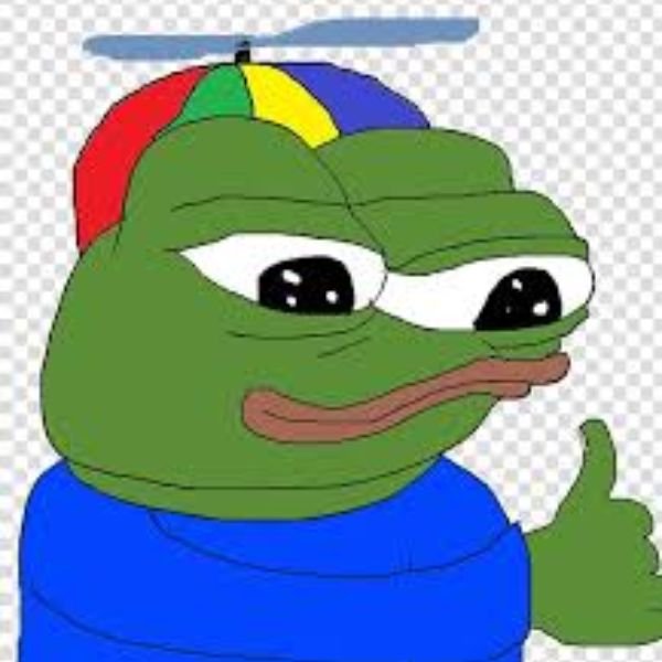 meme frog đội mũ