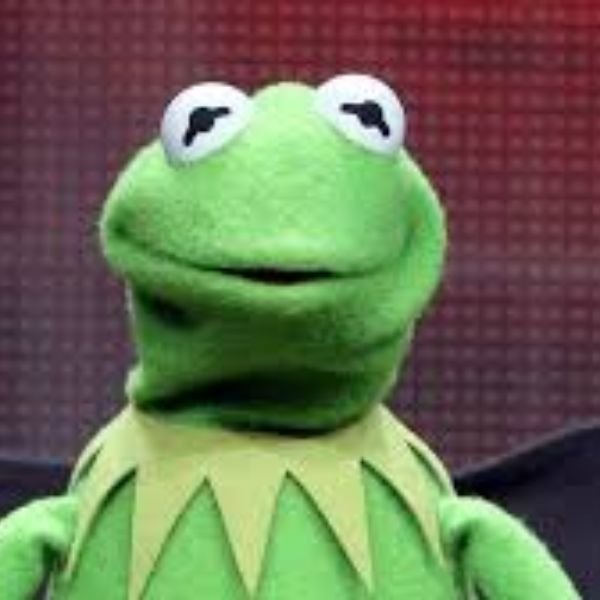 meme frog gấu bông