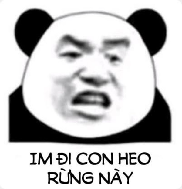 meme gấu trúc chế hài bựa