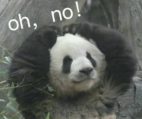 meme gấu trúc đau đầu