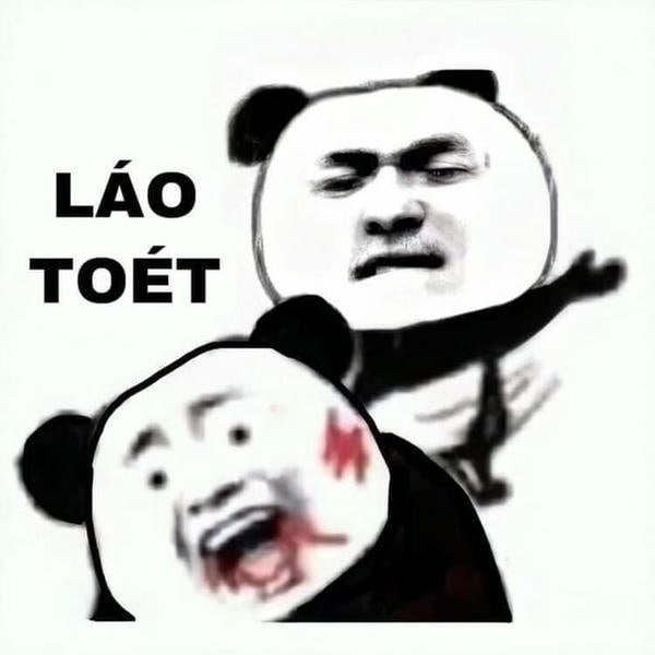 meme gấu trúc nhây
