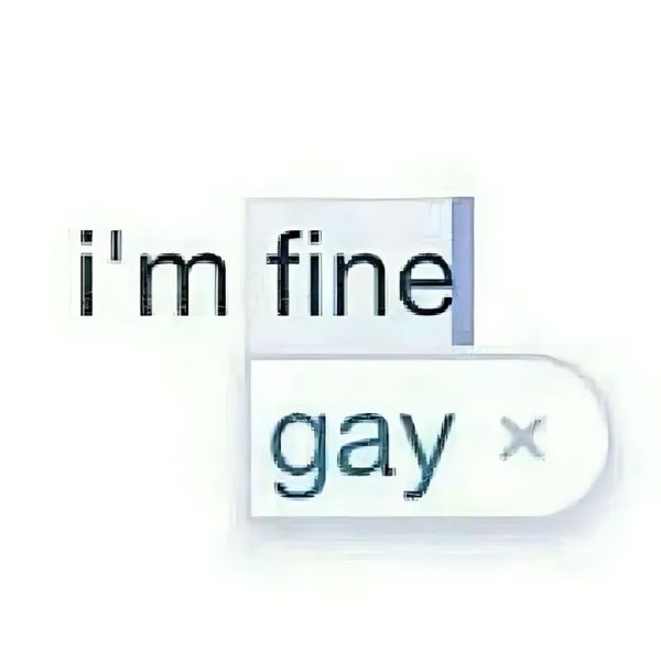 meme gay chế