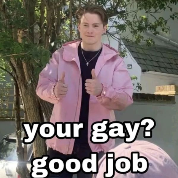 meme gay hỏi chấm