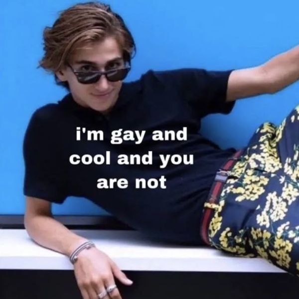 meme gay quote