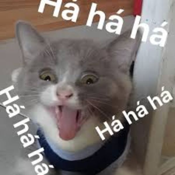meme haha lè lưỡi