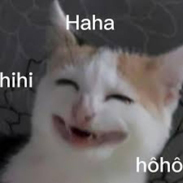meme haha troll