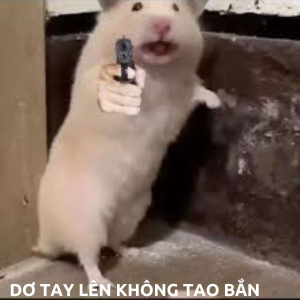 meme hamster cầm súng