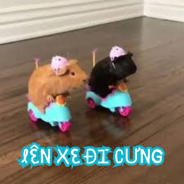 meme hamster lên xe