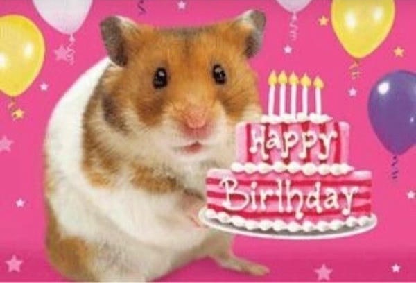 meme happy birthday chuột lang