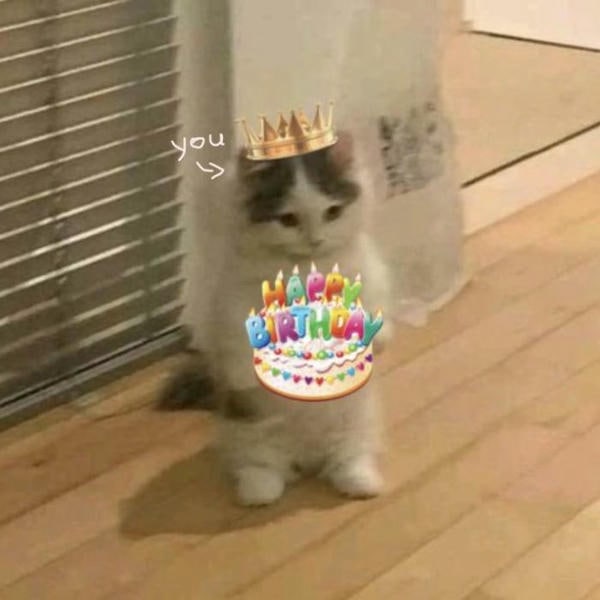 meme happy birthday mèo chế hài