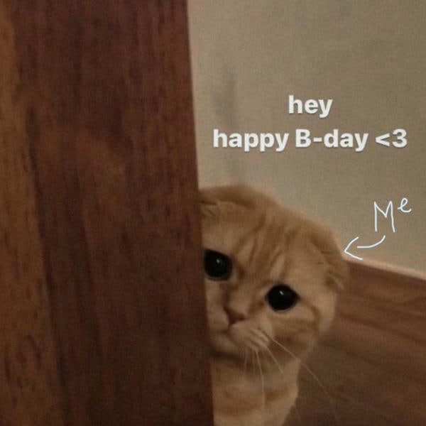 meme happy birthday mèo xinh