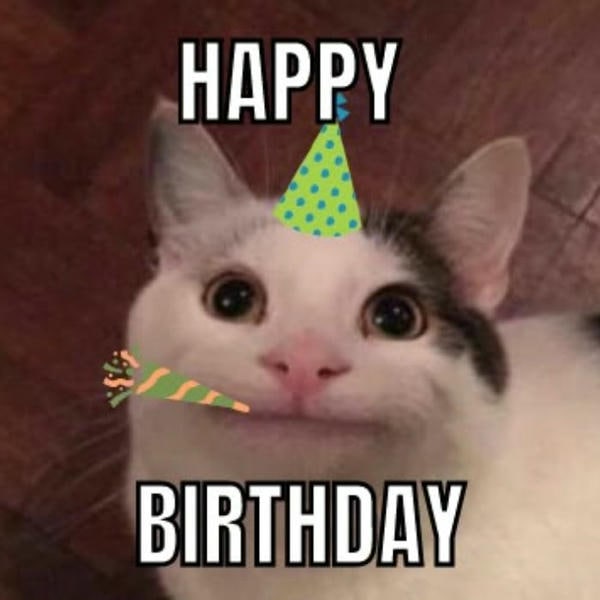meme happy birthday mèo