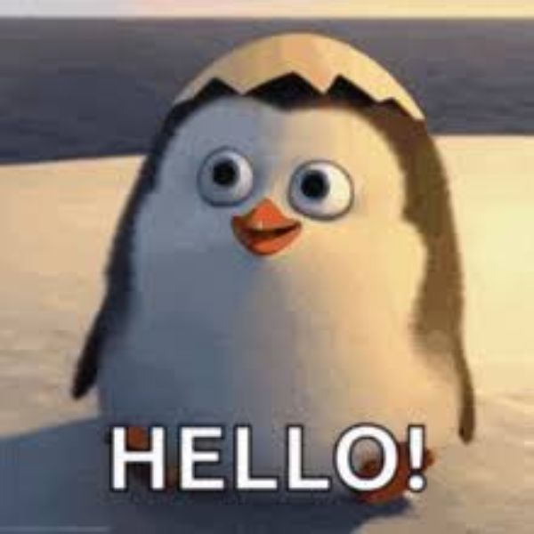 meme hello chim cánh cụt