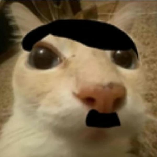 meme hitler chế mèo