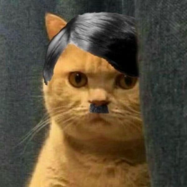 meme hitler mèo hài
