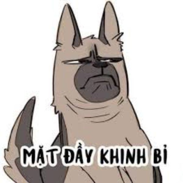 meme khinh bỉ bựa