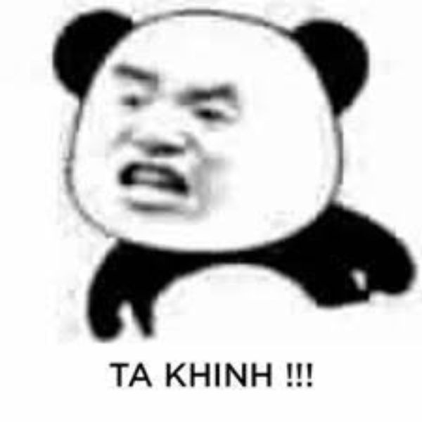 meme khinh bỉ gấu trúc
