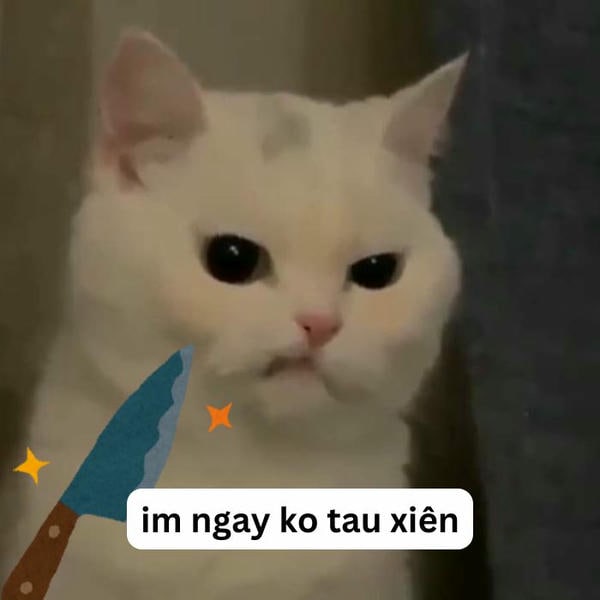 meme mèo cầm dao chất nhất