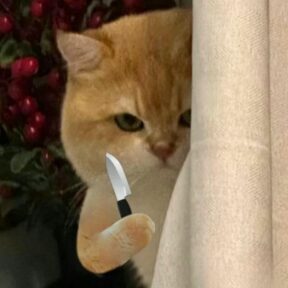 Cười sái quai hàm với những hình ảnh meme mèo cầm dao được chế hài hước