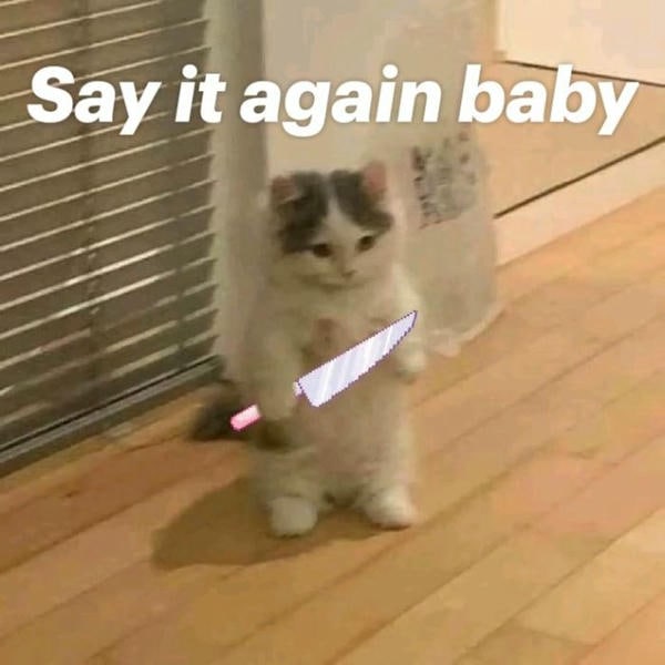 meme mèo cầm dao cute