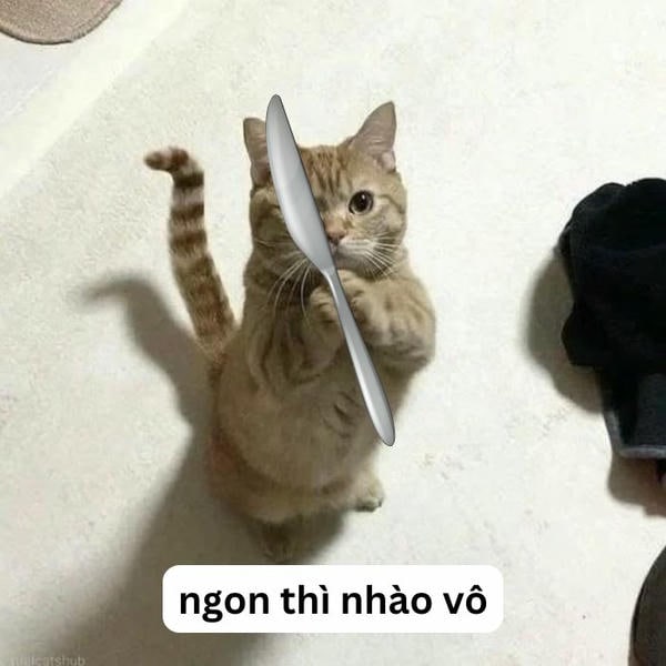 meme mèo cầm dao siêu chất