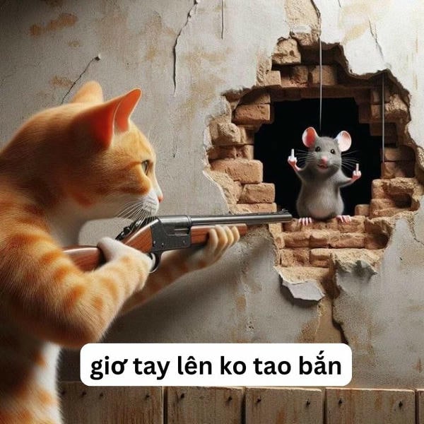 meme mèo c