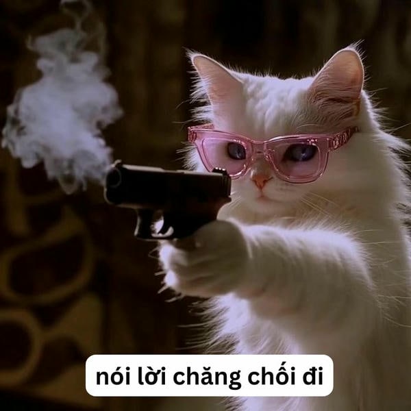 meme mèo cầm súng hài hước