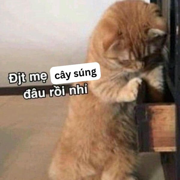 meme mèo cầm súng hài
