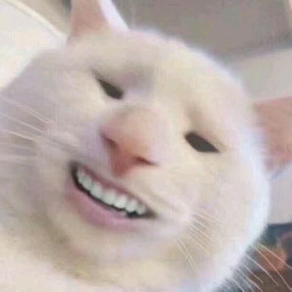 meme mèo cười cực hài