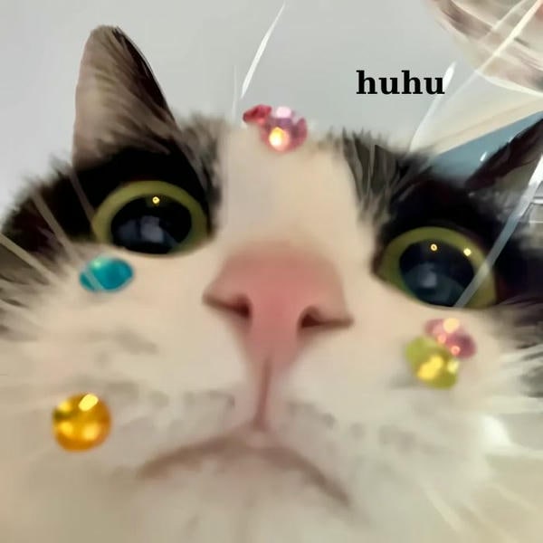 meme mèo khóc buồn nhất quả đất