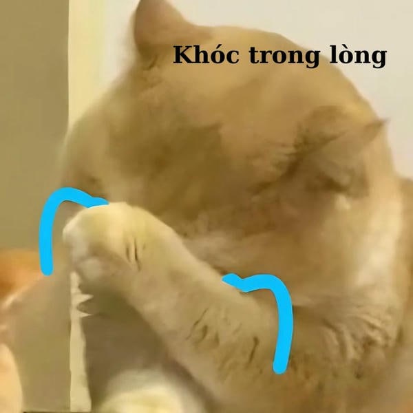 meme mèo khóc cực buồn
