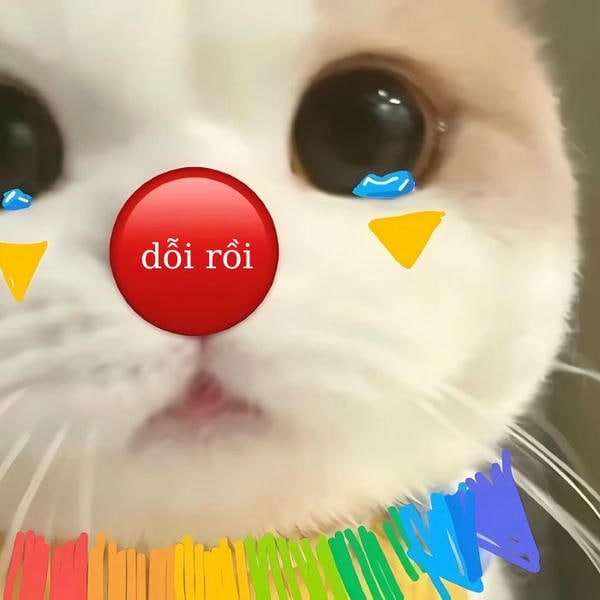 meme mèo khóc cute buồn