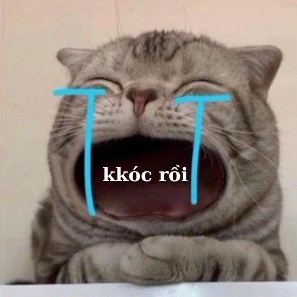 meme mèo khóc siêu buồn