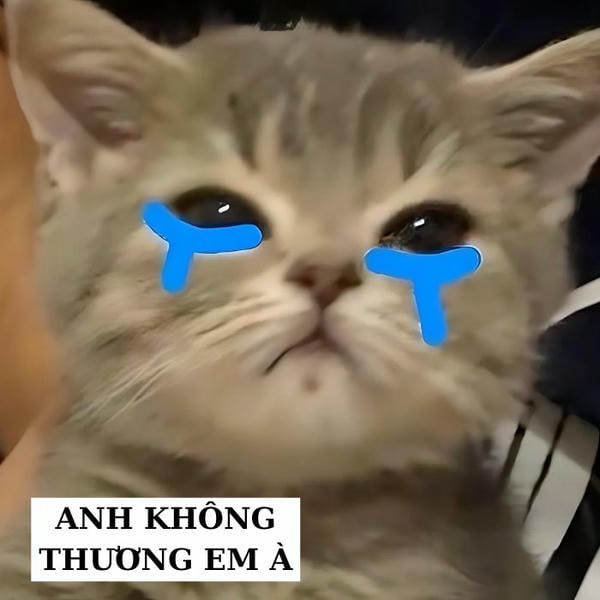 meme mèo khóc xinh nhất