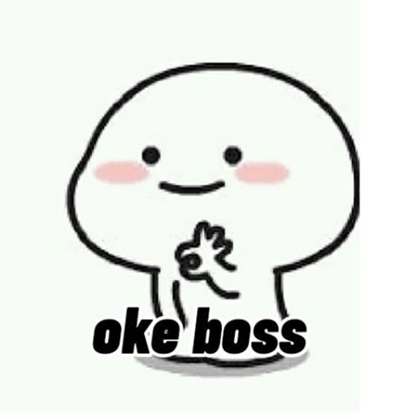 meme ok boss