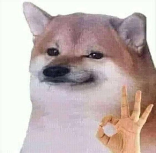meme ok chó dog