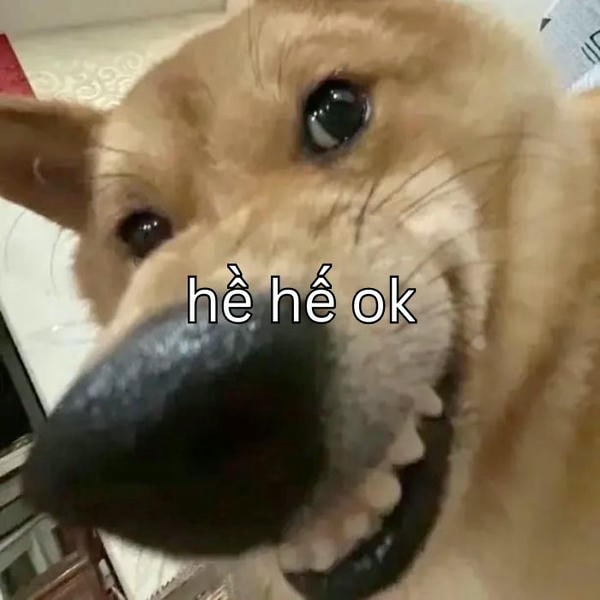 meme ok chó