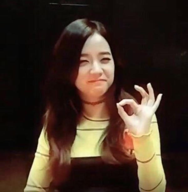 meme ok idol
