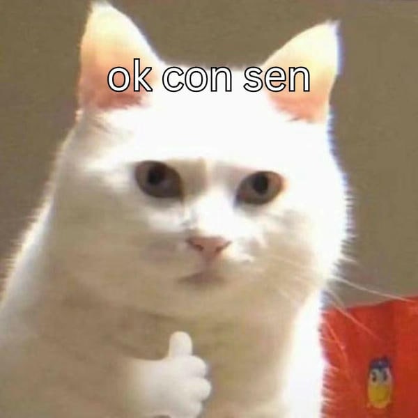 meme ok mèo bựa
