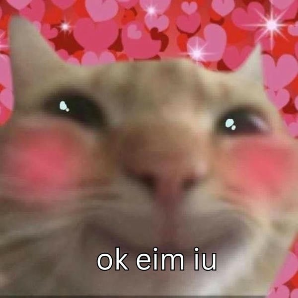 meme ok mèo xinh