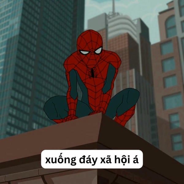 meme spiderman bựa