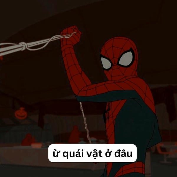 meme spiderman nhây nhất
