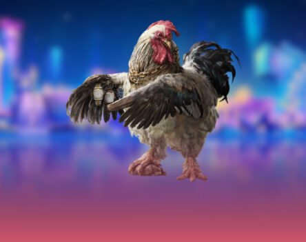 Luật Đá Gà Cựa Sắt Chi Tiết – Hiểu Đúng Trước Khi Xem Và Tham Gia